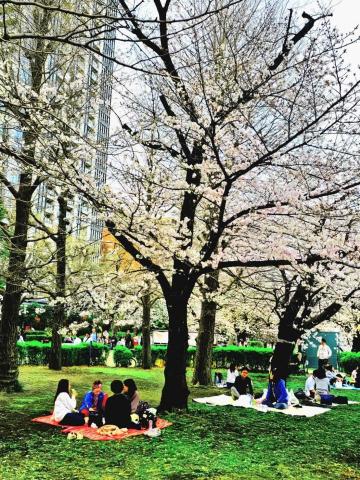 提供刮痧圖解服務的專家同心共奏故事館