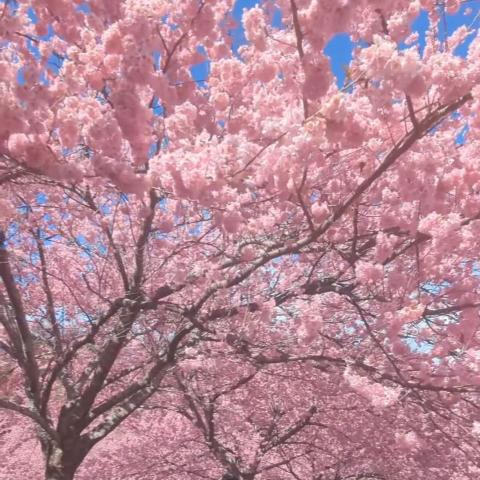 提供經營管理服務的專家Kelly  chen 