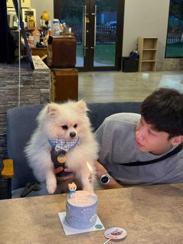 譚凱彰 - 他生日