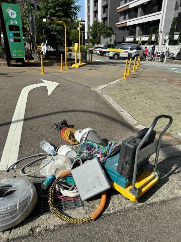 譚凱彰 - 掉了 草