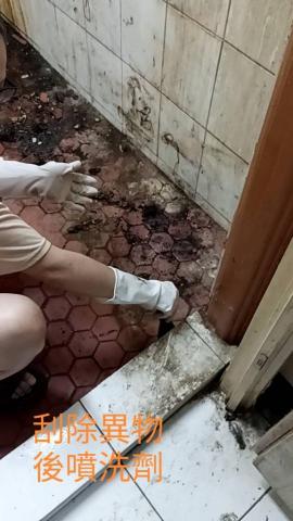 潔比潔服務社 -  潔比潔服務社 -