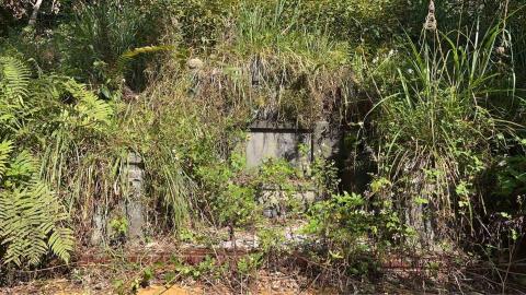 蝸牛園藝社 -  蝸牛園藝社 -