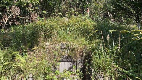 蝸牛園藝社 -  蝸牛園藝社 -