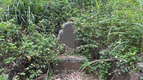 蝸牛園藝社 -  蝸牛園藝社 -