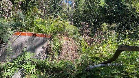 蝸牛園藝社 -  蝸牛園藝社 -