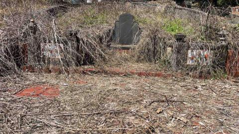 蝸牛園藝社 -  蝸牛園藝社 -