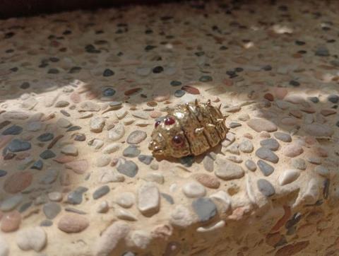 JY Wang - 簡易蠟雕王蟲鑲石榴石