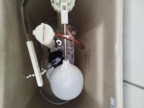 周昆興 - 馬桶無法沖水修繕（完成）