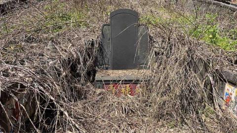 蝸牛園藝社 -  蝸牛園藝社 -