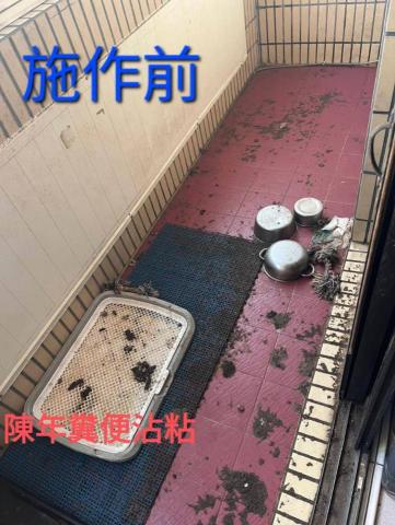 潔比潔服務社 -  潔比潔服務社 -