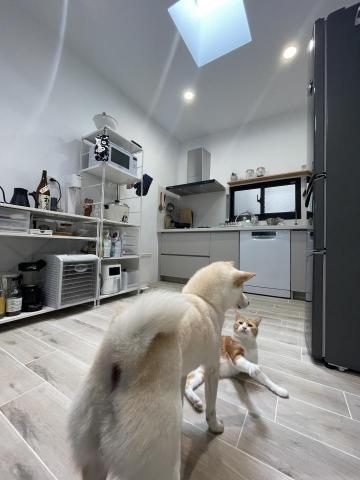 IG沈沈家｜小沈 - 廚房空間規劃