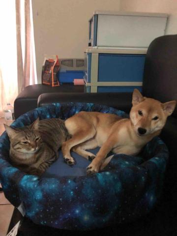 柯亞辰 - 我老闆