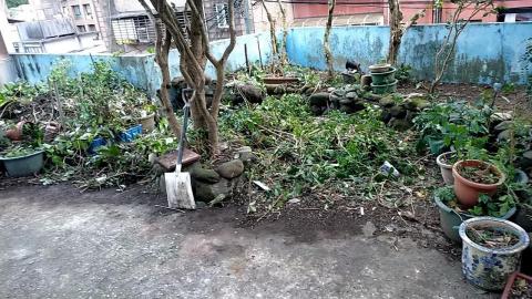 劉振興工程 居家修繕 園藝 油漆 統包 - 庭院整理（施工中）