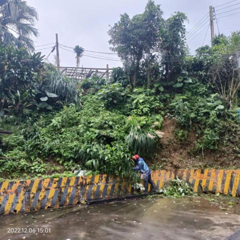 劉振興工程 居家修繕 園藝 油漆 統包 - 里長辦公處委託路邊坡雜草修剪（施工中）