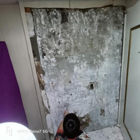 劉振興工程 居家修繕 園藝 油漆 統包 - 壁癌刨除處理