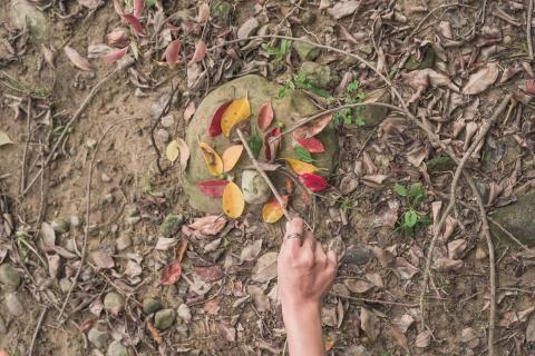 心林相遇 - 自然藝術創作