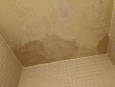 陽光街角郭先生 - 壁癌處理