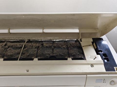 洗透透專業清洗 - 養毛家庭