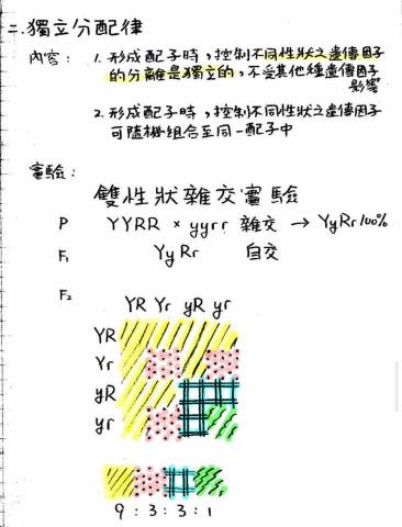 Elly 數理英文家教 - 生物筆記