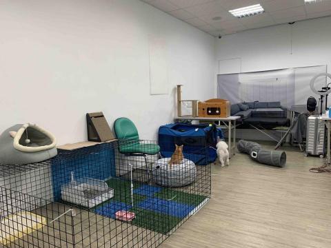 台中❤️快樂寶貝媽咪家 - 特別為每一位寶貝搭配⋯⋯遊戲、睡眠、活動區