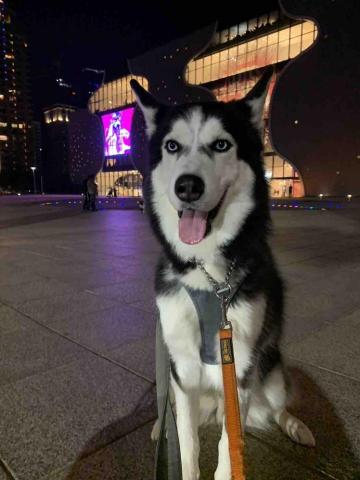 台中❤️快樂寶貝媽咪家 - 體能極限散步運動可以至秋紅谷、國家歌劇院?