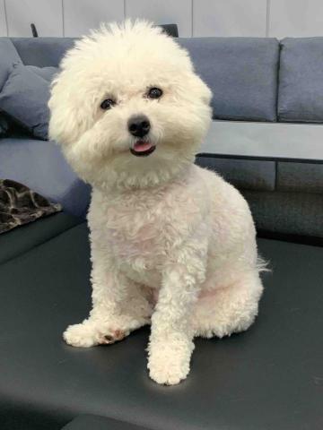 台中❤️快樂寶貝媽咪家 - 保姆休息區也可以這樣活動