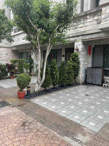 崇勝園藝 - 景觀羅漢松種植