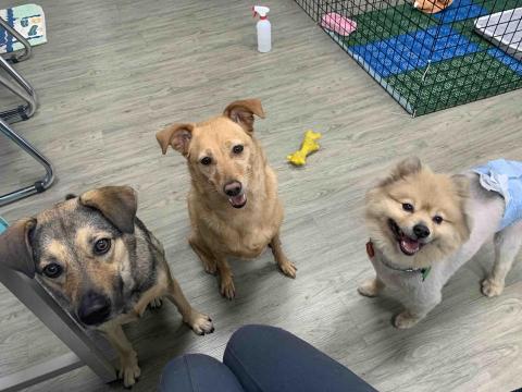 台中❤️快樂寶貝媽咪家 - 