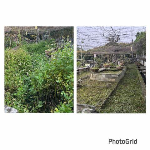 除草特攻隊 - 施工前後