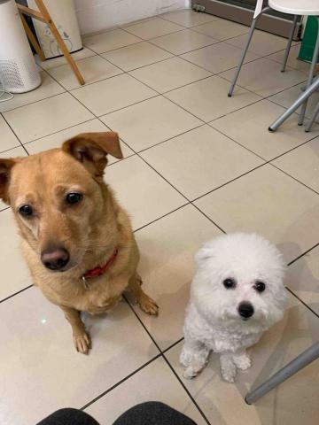 台中❤️快樂寶貝媽咪家 - 「等待訓練」