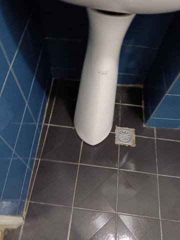 居家清潔 - 空屋浴室清潔後