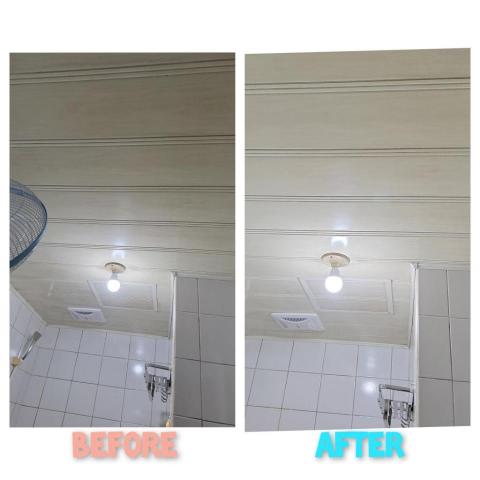 郭美雪 - 除霉客戶