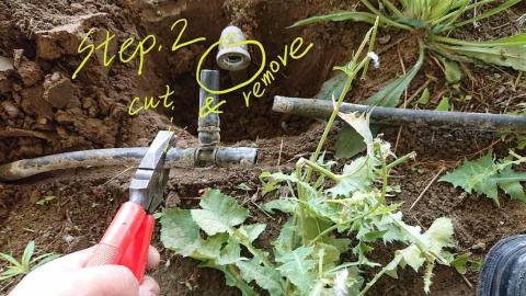 鄭皓尹 - 更換自動噴灌閥件