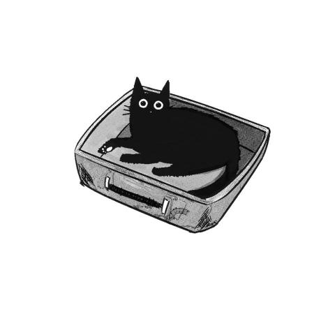 大動物先生 - 黑白插畫
箱子貓貓