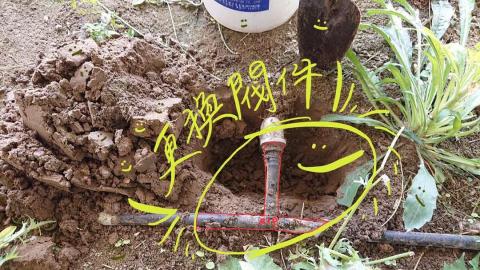 鄭皓尹 - 更換自動噴灌閥件