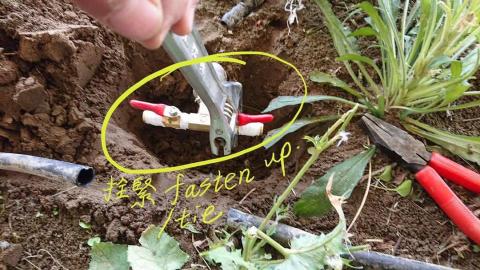 鄭皓尹 - 更換自動噴灌閥件