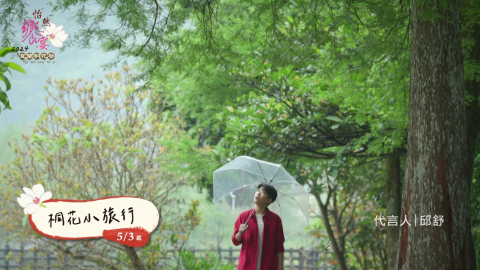 布里青影像 - 宣傳影片