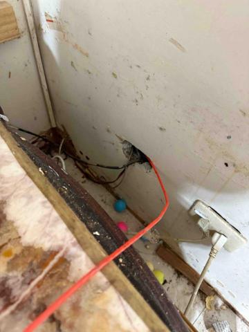 宏睿網路科技 弱電 網路 - 