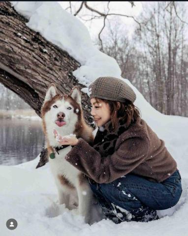 寵物攝影/jason - 學