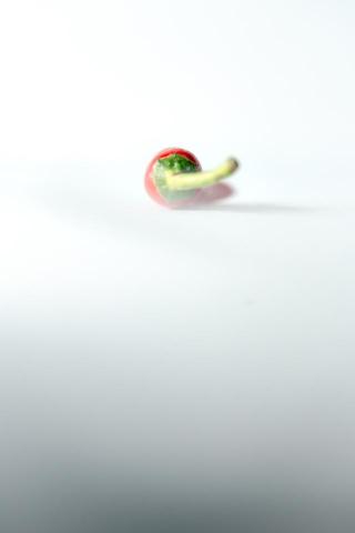 Maois Radio 影像工作室 - 