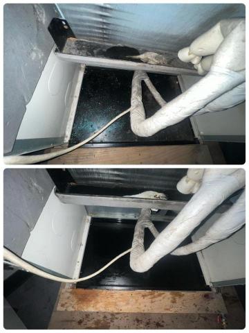 臻幸福 分離式冷氣&直立式 滾筒式洗衣機清洗&水塔&居家清潔 -  臻幸福 分離式冷氣&直立式 滾筒式洗衣機清洗&水塔&居家清潔 -