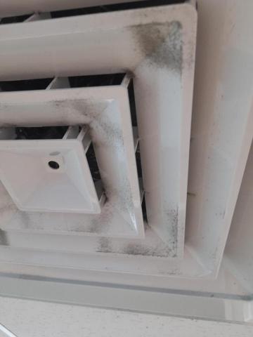 誠恩清潔服務 - 