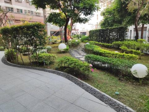 提供樹木固定服務的專家雅舜企業社