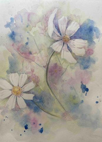 Jasmine老師 - 色鉛筆