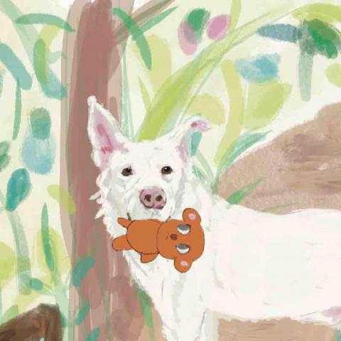 提供電繪板服務的專家MOW work