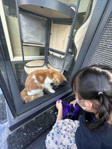 蔡昀伶 - 陪讀/陪玩