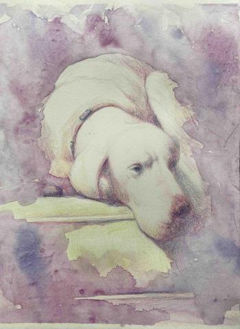 Jasmine老師 - 色鉛筆