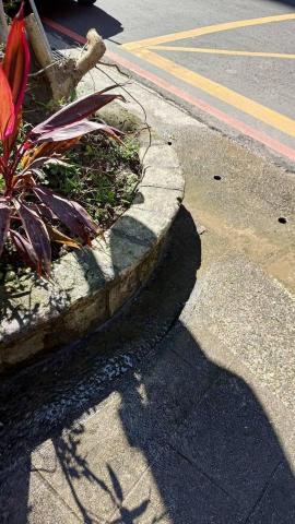 郭明宗 - 花圃修復