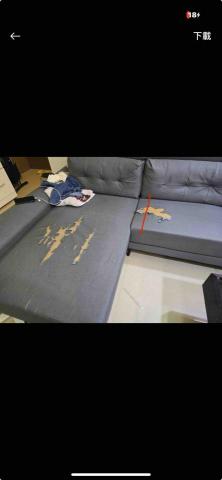 賴柏駒專業到府維修(皮革更換)(沙發凹陷) - 3