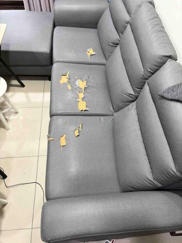 賴柏駒專業到府維修(皮革更換)(沙發凹陷) - 1
